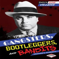 Gangsters__Bootleggers__and_Bandits